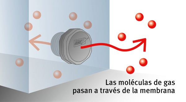 Las moléculas de gas pasan a través de la membrana