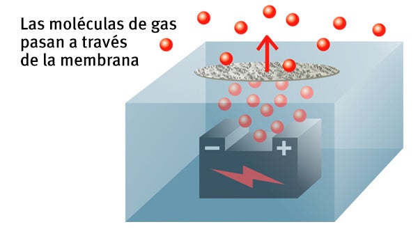 Las moléculas de gas pasan a través de la membrana