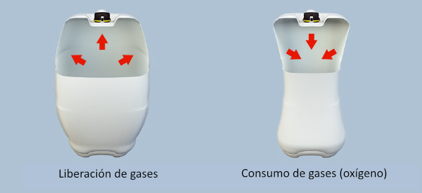 Liberación y consumo de gases