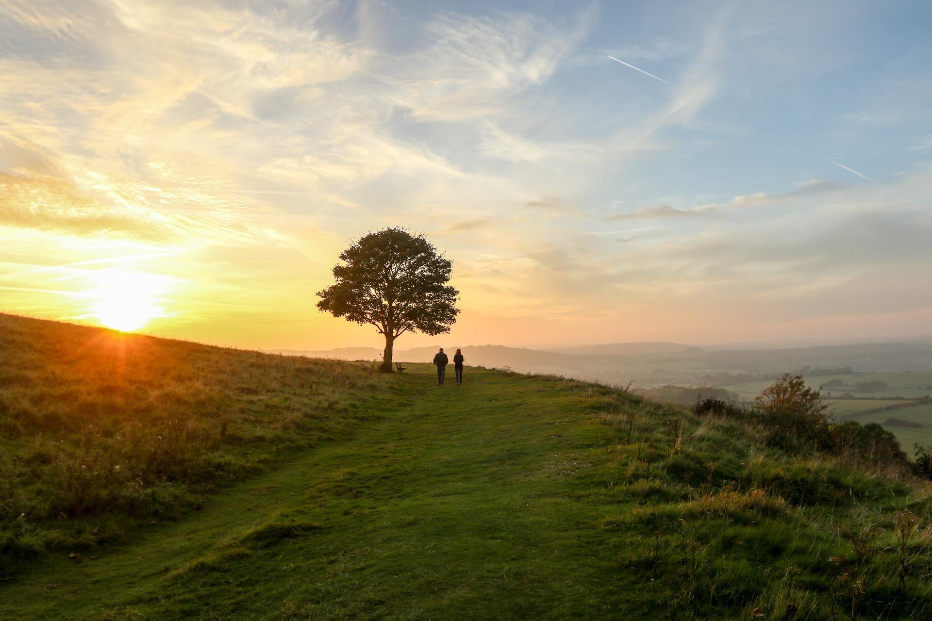 Imagen de dos personas en un entorno natural viendo el atardecer junto a un árbol