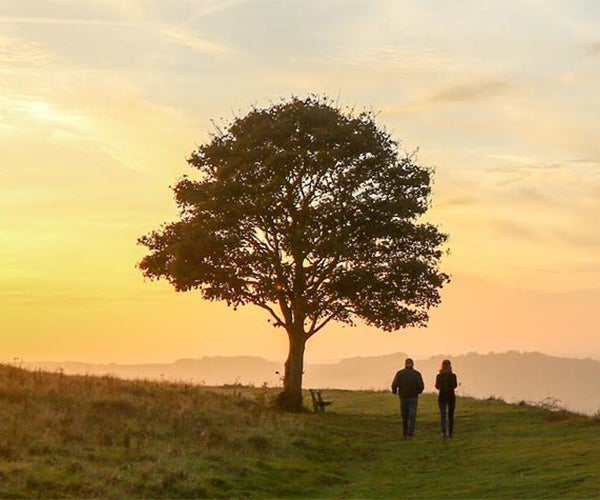 Imagen de un árbol durante la puesta de sol y dos personas paseando.