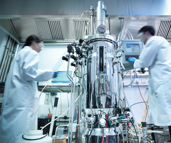 Biorreactor para procesamiento farmacéutico y biofarmacéutico